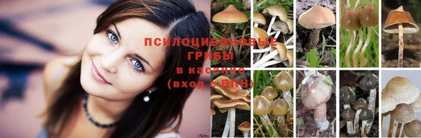 mdma Вяземский