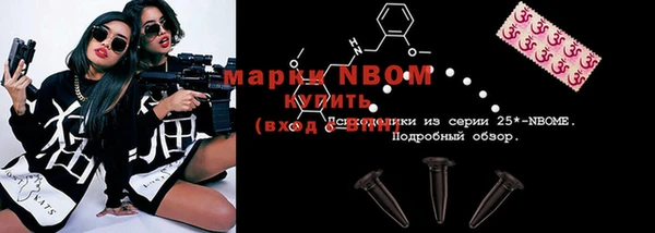 сатива Верея