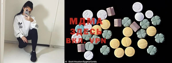 сатива Верея