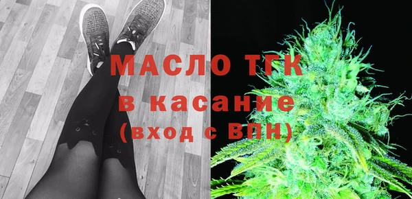винт Горняк