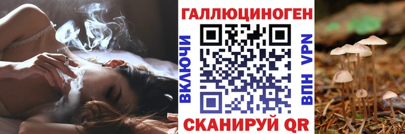 Псилоцибиновые грибы Psilocybine cubensis  omg сайт  Донской 